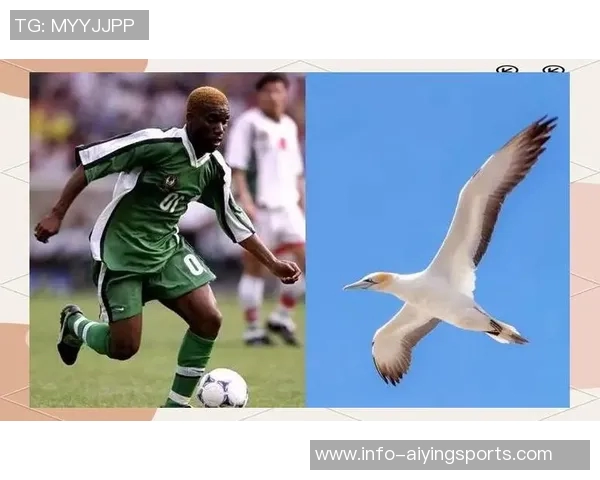 足球世界中的别称与绰号探秘揭示球员与球队的独特魅力与文化 足球世界中的别称与绰号探秘揭示球员与球队的独特魅力与文化